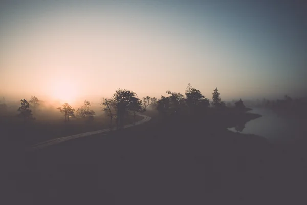 Beautiful tranquil landscape of misty swamp lake - retro, vintag — Stock Photo, Image