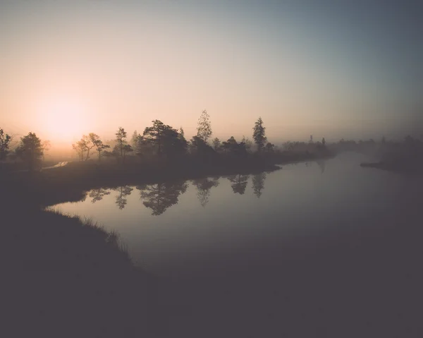 Beau paysage tranquille de lac marécageux brumeux - rétro, millésime — Photo