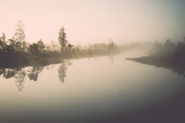 Hermoso paisaje tranquilo de lago pantano brumoso - retro, vintag —  Fotos de Stock