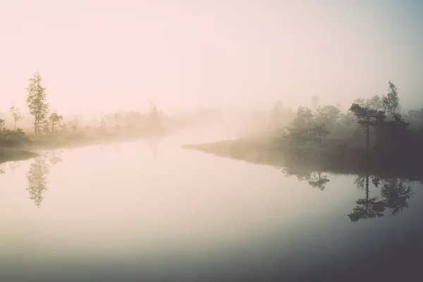 Beautiful tranquil landscape of misty swamp lake - retro, vintag — Stock Photo, Image