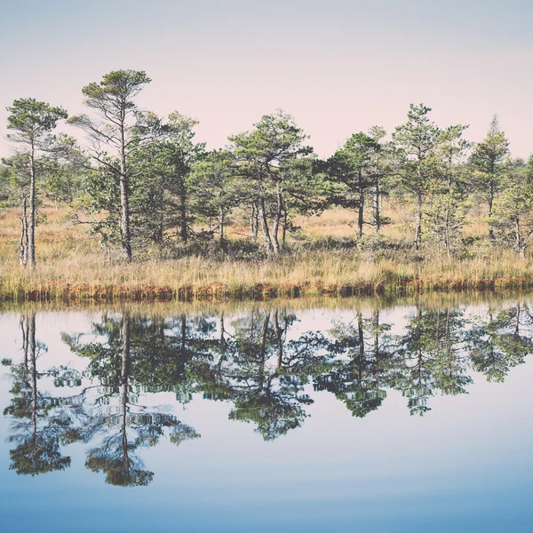 Beautiful tranquil landscape of misty swamp lake - retro, vintag — Stock Photo, Image