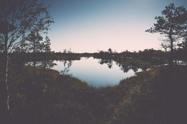 Vackra fridfulla landskapet i dimmiga träsk sjö - retro, vintag — Stockfoto