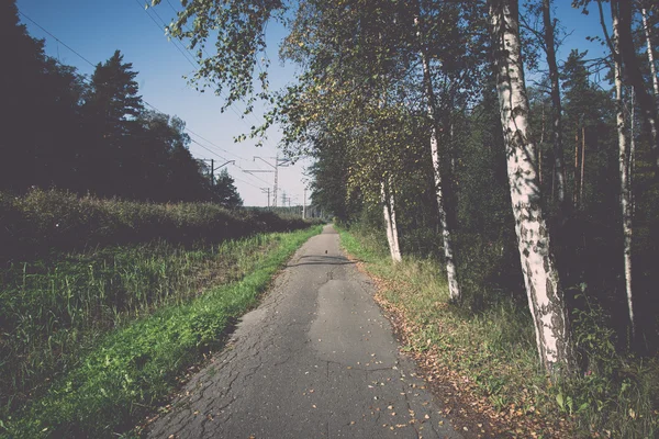 Country road with birch trees and old asphalt road - retro, vint — Stock Photo, Image