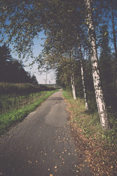 Country road with birch trees and old asphalt road - retro, vint — Stock Photo, Image