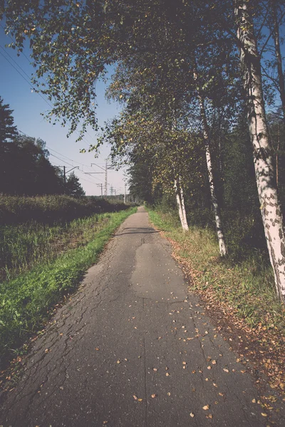 Country road with birch trees and old asphalt road - retro, vint — Stock Photo, Image