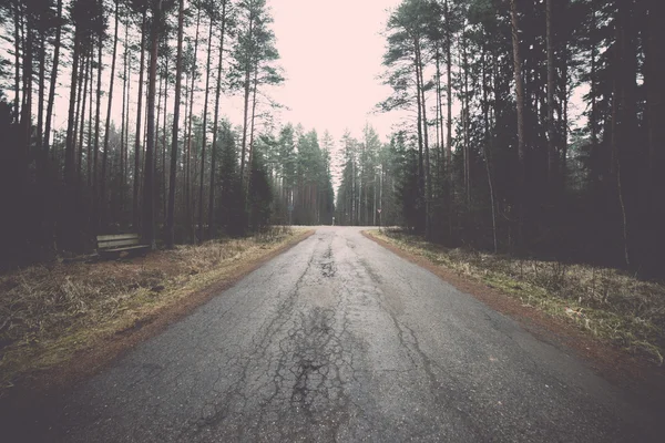 Oude weg in het bos - retro, vintage — Stockfoto