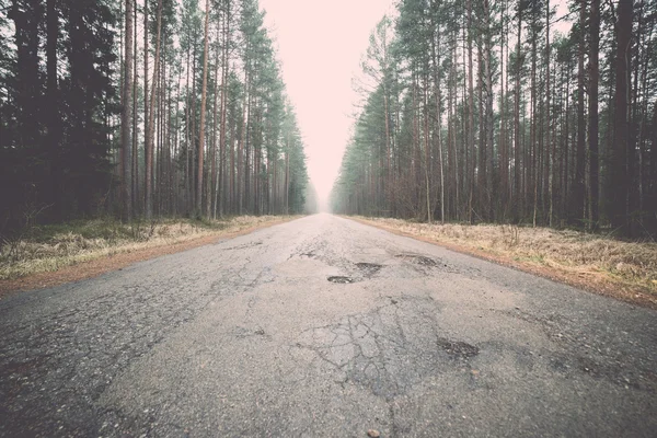 Eski yolu ormandaki - retro, vintage — Stok fotoğraf