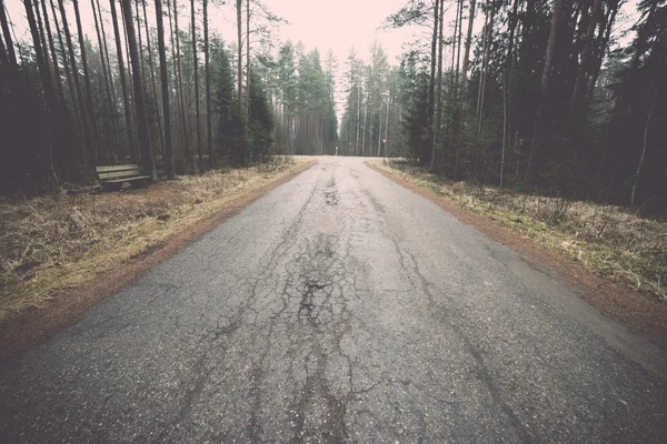 Old road in the forest - retro, vintage — Stock Photo, Image