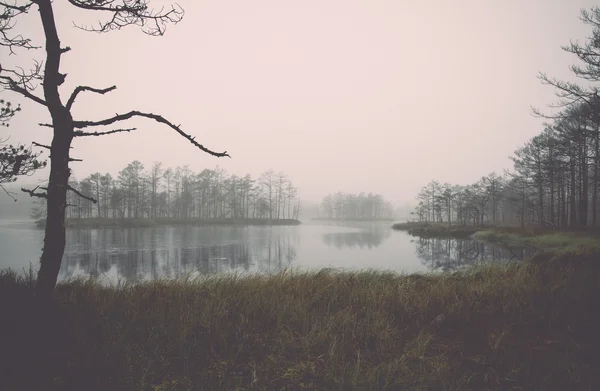 Lac d'automne avec reflets d'arbres - rétro, vintage — Photo