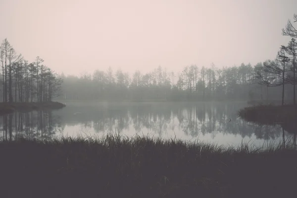 Lac d'automne avec reflets d'arbres - rétro, vintage — Photo