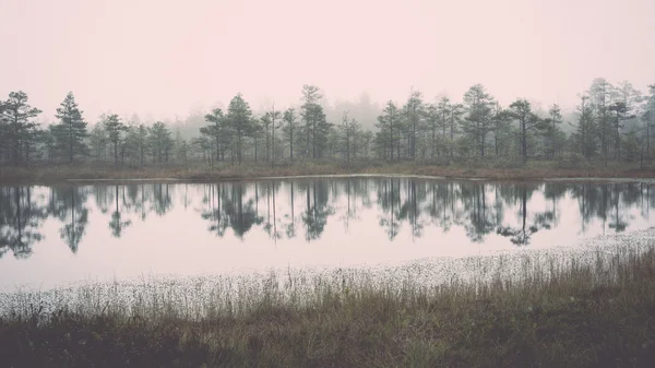 Осіннє озеро з відображенням дерев ретро, вінтажне — стокове фото