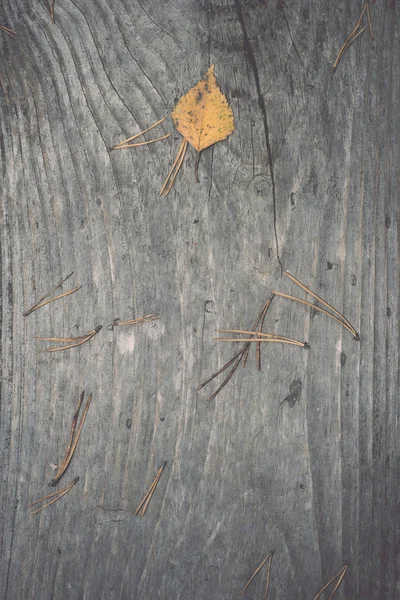 Old wooden planks covered with leaves - retro, vintage — Stock Photo, Image