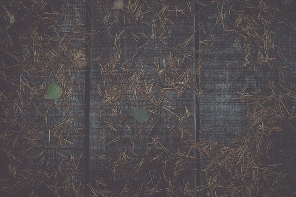 Tábuas de madeira velhas cobertas de folhas - retro, vintage — Fotografia de Stock