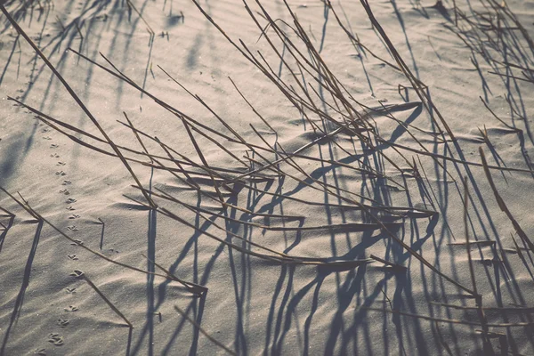 Stíny z trávy na pláži - retro a vintage — Stock fotografie