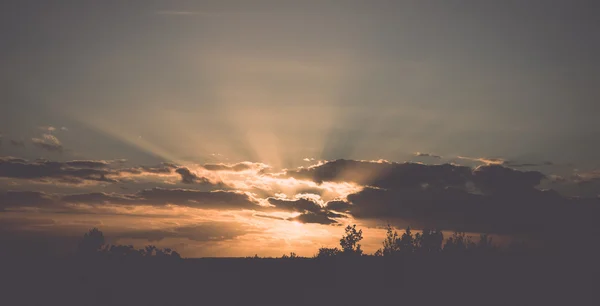 Coucher de soleil sur la forêt - rétro, vintage — Photo