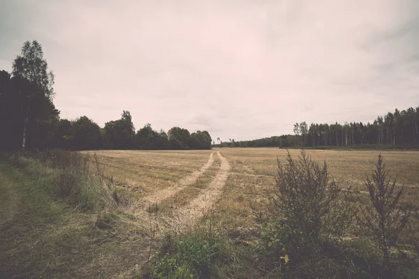 Route de campagne vide - rétro, vintage — Photo