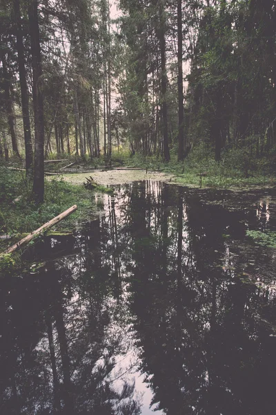 Antigua orilla del río con reflejos en el agua - retro, vintage —  Fotos de Stock