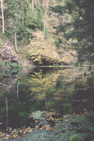 old river bank with reflections in water - retro, vintage