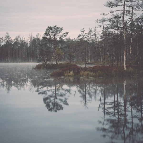 Reflets dans l'eau du lac - rétro, vintage — Photo