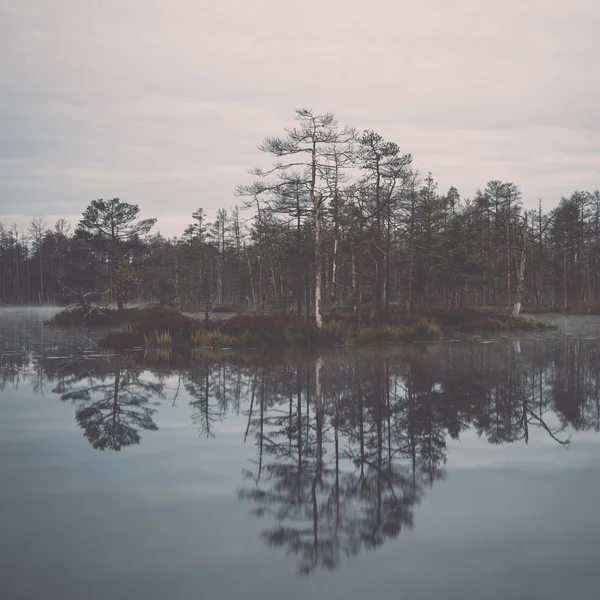 Reflektioner i sjön vatten - retro, vintage — Stockfoto