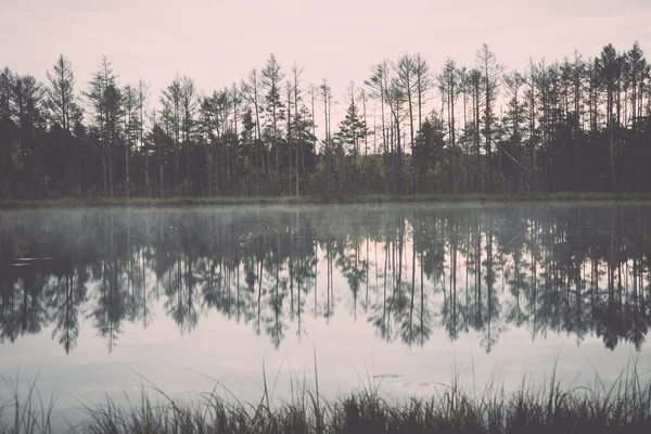 Reflexões na água do lago - retro, vintage — Fotografia de Stock