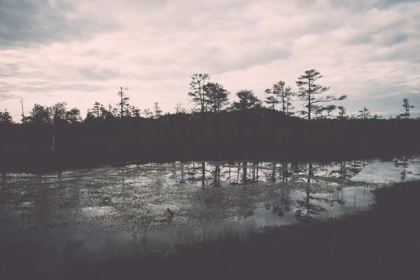 Reflektioner i sjön vatten - retro, vintage — Stockfoto