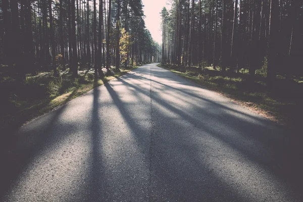 Ranne słońce belki nad drogą jesień - retro, vintage — Zdjęcie stockowe