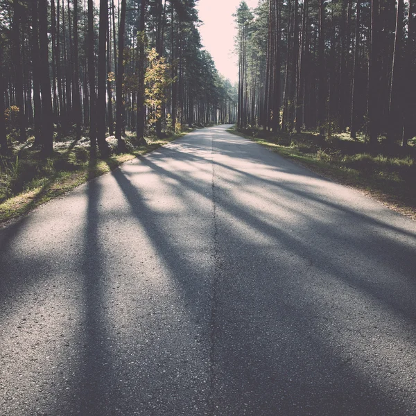 Morning sun beams over autumn road - retro, vintage — Stock Photo, Image