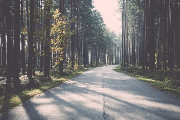 Morgonsolen balkar över hösten vägen - retro, vintage — Stockfoto