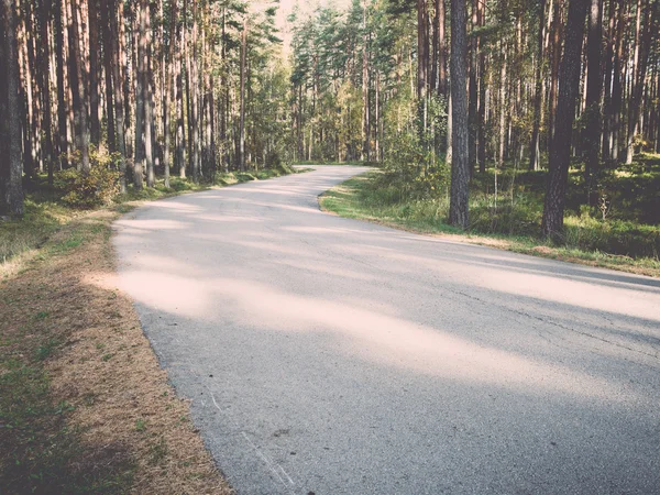 Ranní slunce paprsky nad podzimní road - retro, vintage — Stock fotografie