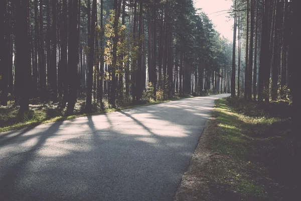 Ranní slunce paprsky nad podzimní road - retro, vintage — Stock fotografie