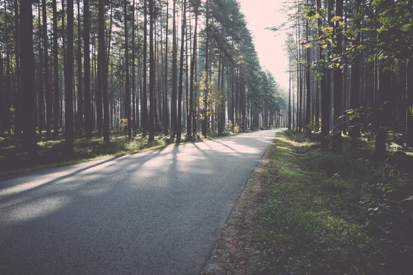 Morning sun beams over autumn road - retro, vintage — Stock Photo, Image