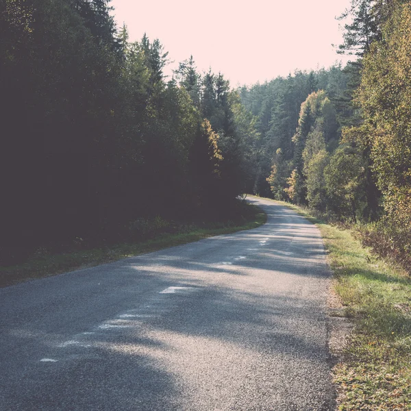 Route asphaltée humide aux reflets solaires - rétro, vintage — Photo