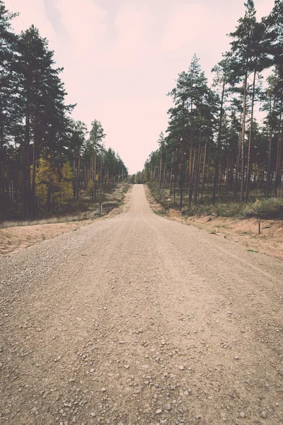 Country gravel road in the forest - retro, vintage — Stock Photo, Image