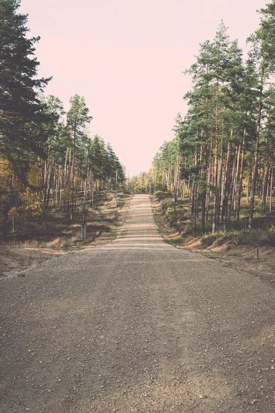 Land grusväg i skogen - retro, vintage — Stockfoto