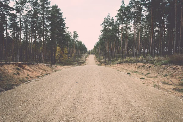 País camino de grava en el bosque - retro, vendimia —  Fotos de Stock