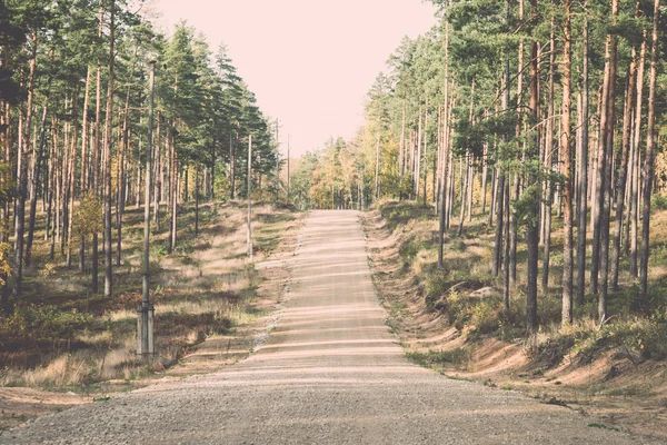 Route de gravier de campagne dans la forêt - rétro, vintage — Photo