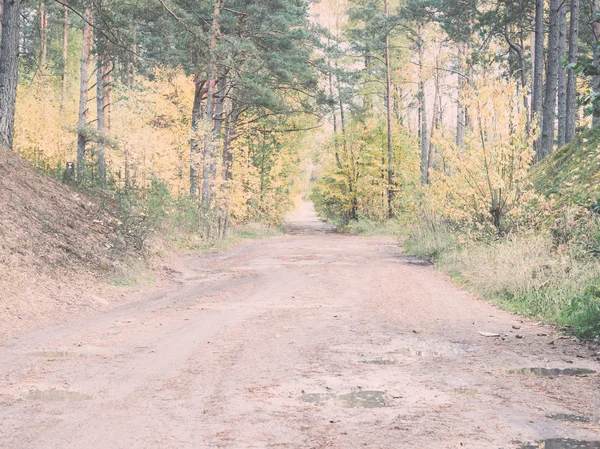 country gravel road in the forest - retro, vintage
