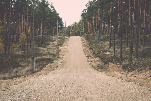 Country gravel road in the forest - retro, vintage — Stock Photo, Image