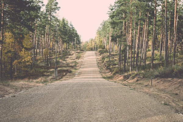 Country gravel road in the forest - retro, vintage — Stock Photo, Image