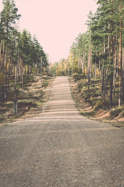 Country gravel road in the forest - retro, vintage — Stock Photo, Image