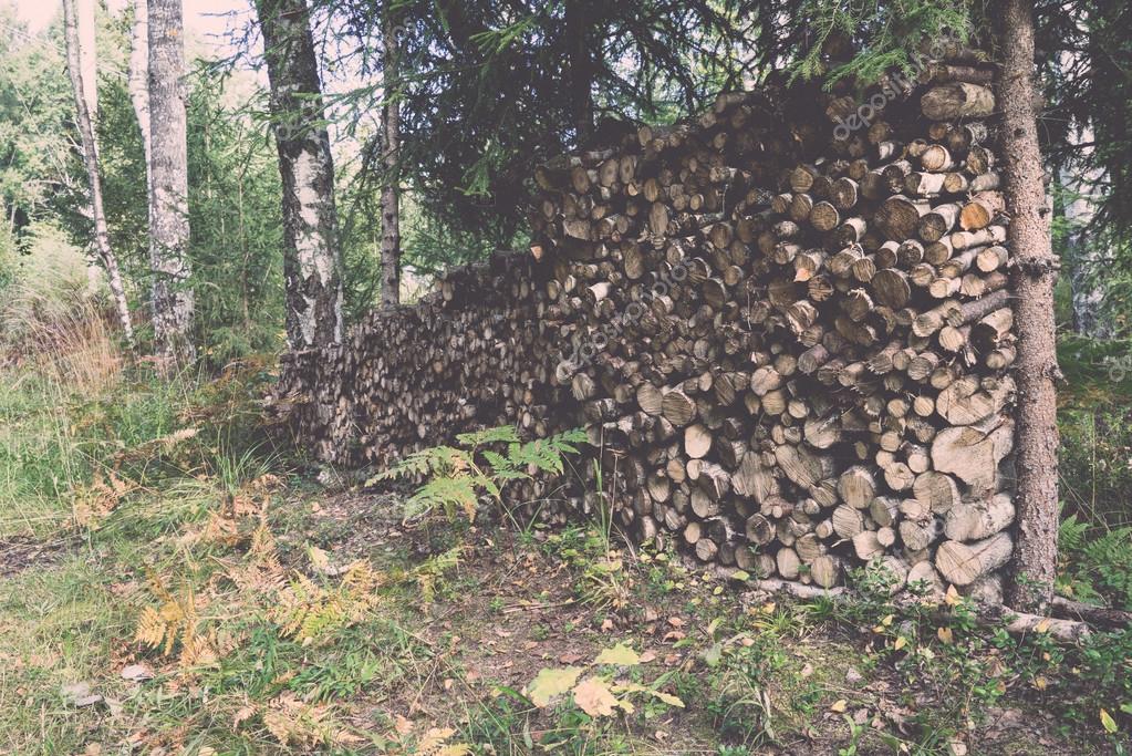 Stacked firewood of spruce in the forest retro, vintage — Stock Photo