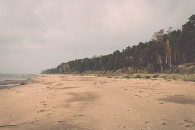 Kıyı Baltık Denizi Beach kayalar ve kum tepeleri - retro,
