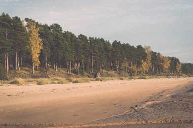 Kıyı Baltık Denizi Beach kayalar ve kum tepeleri - retro,