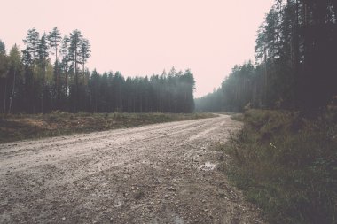ülke stabilize yol ormandaki - retro, vintage