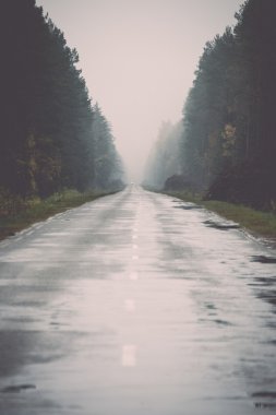 ıslak asfalt yol ile güneş yansımaları - retro, vintage