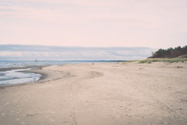 geç sonbahar renkleri denize sıfır - dunes içinde retro, vintage