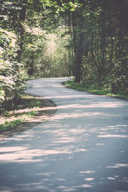 Biraz aydınlatılmış yolu ormandaki - retro, vintage