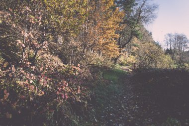 sonbahar renkli Turizm trail ormanda - retro, vintage