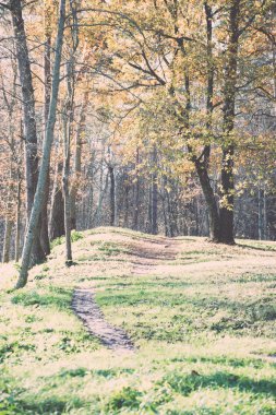 sonbahar renkli Turizm trail ormanda - retro, vintage